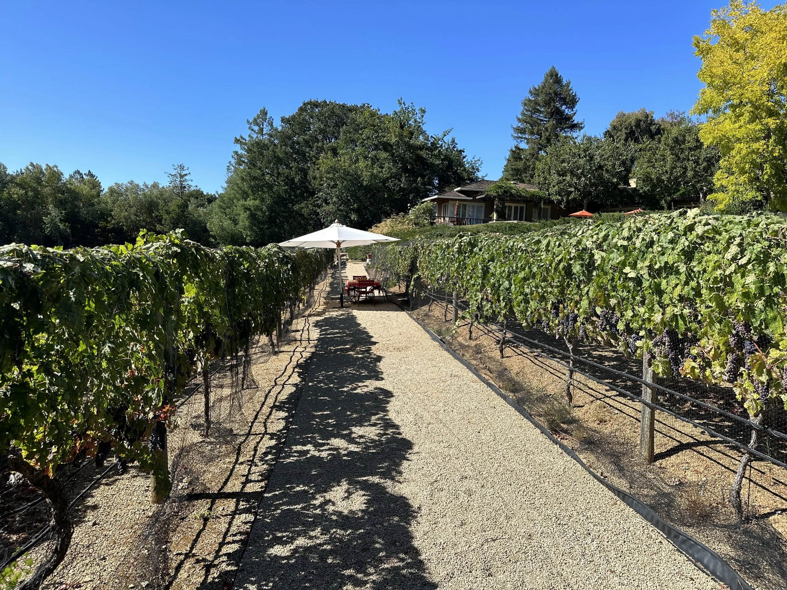 (500) Middle of the Hand Defense