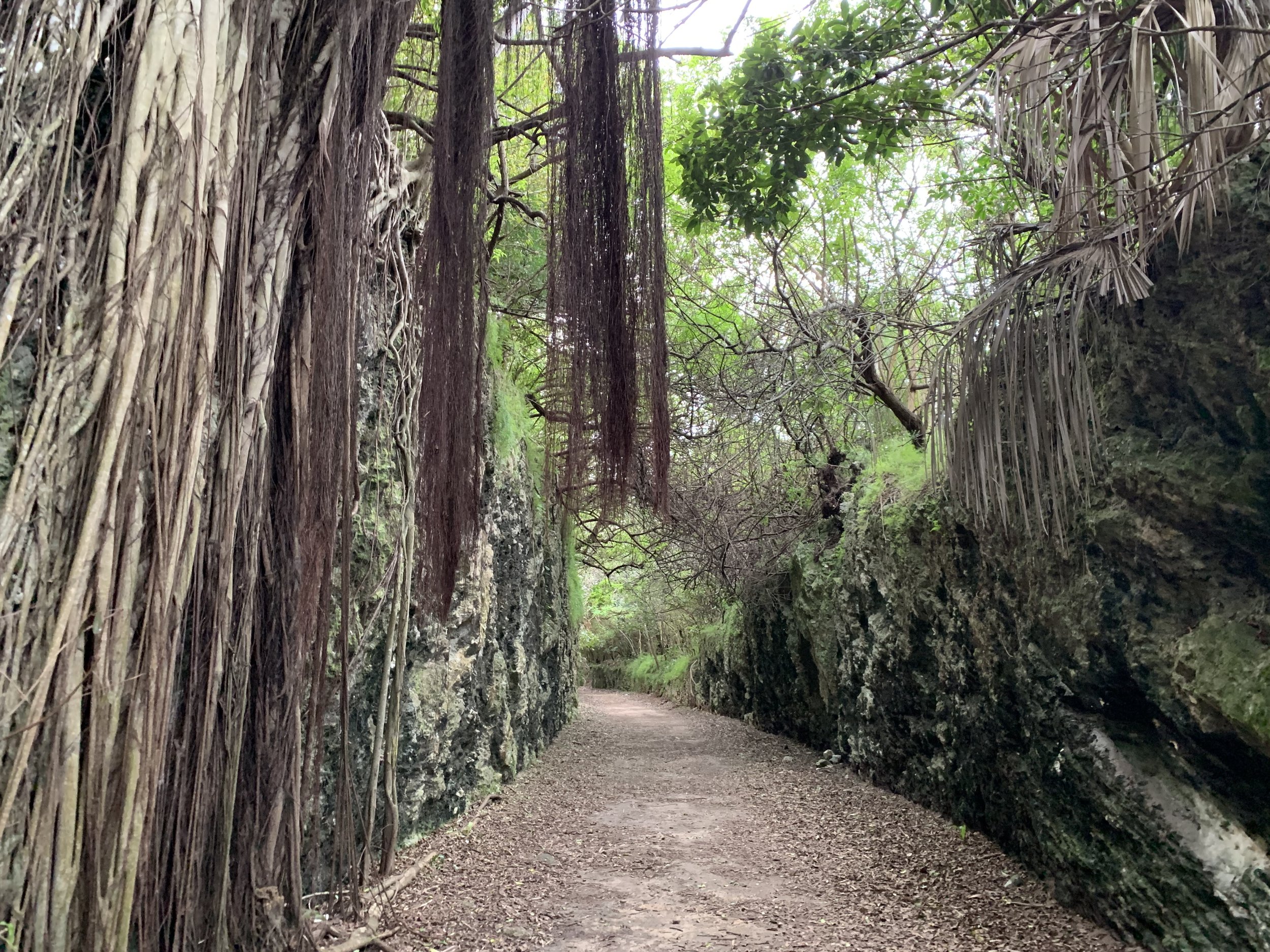 (503) Middle of the Hand Defense: Surround Plays and Power Shifts