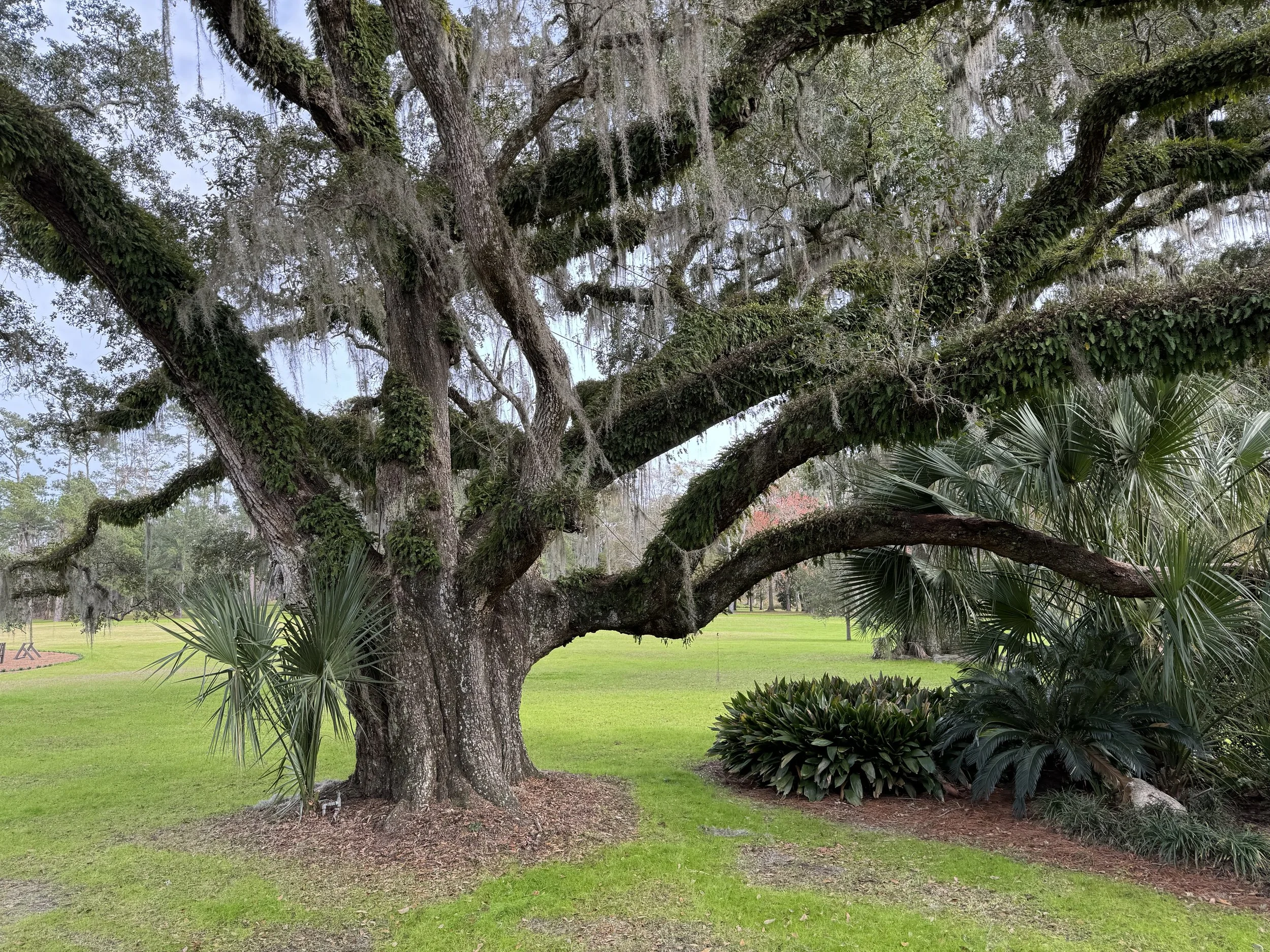 (507) Thinking and Responding:  3rd Seat Opening Bids