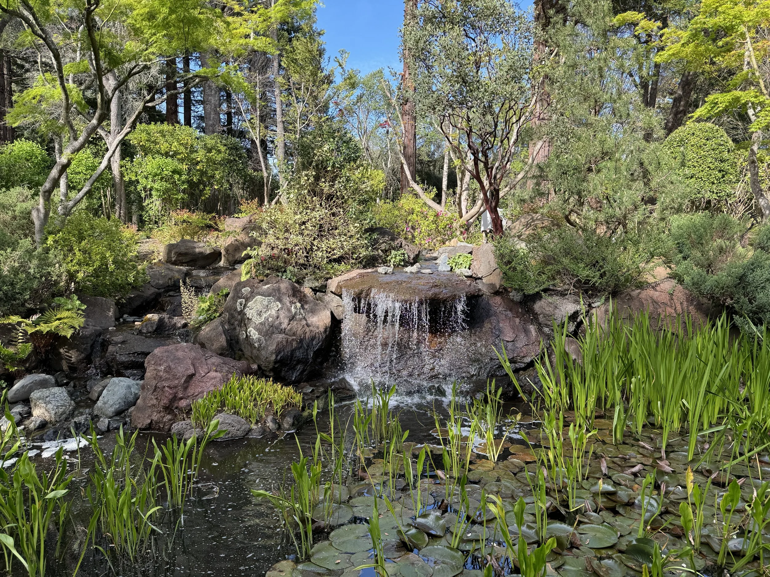 (526) Fits and More: Raising Partner's Overcall