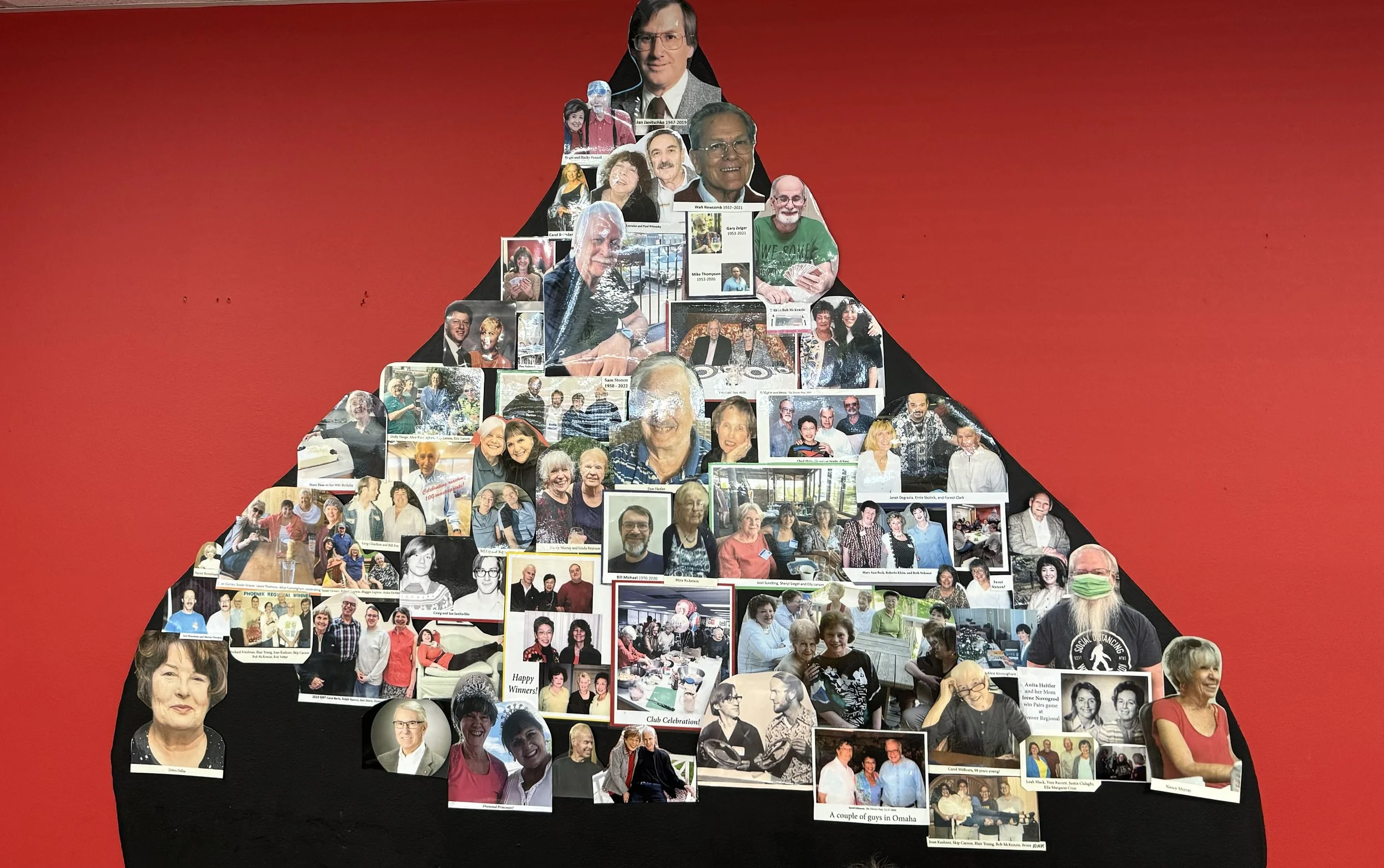 (541) NT Bidding: DONT and Meckwell