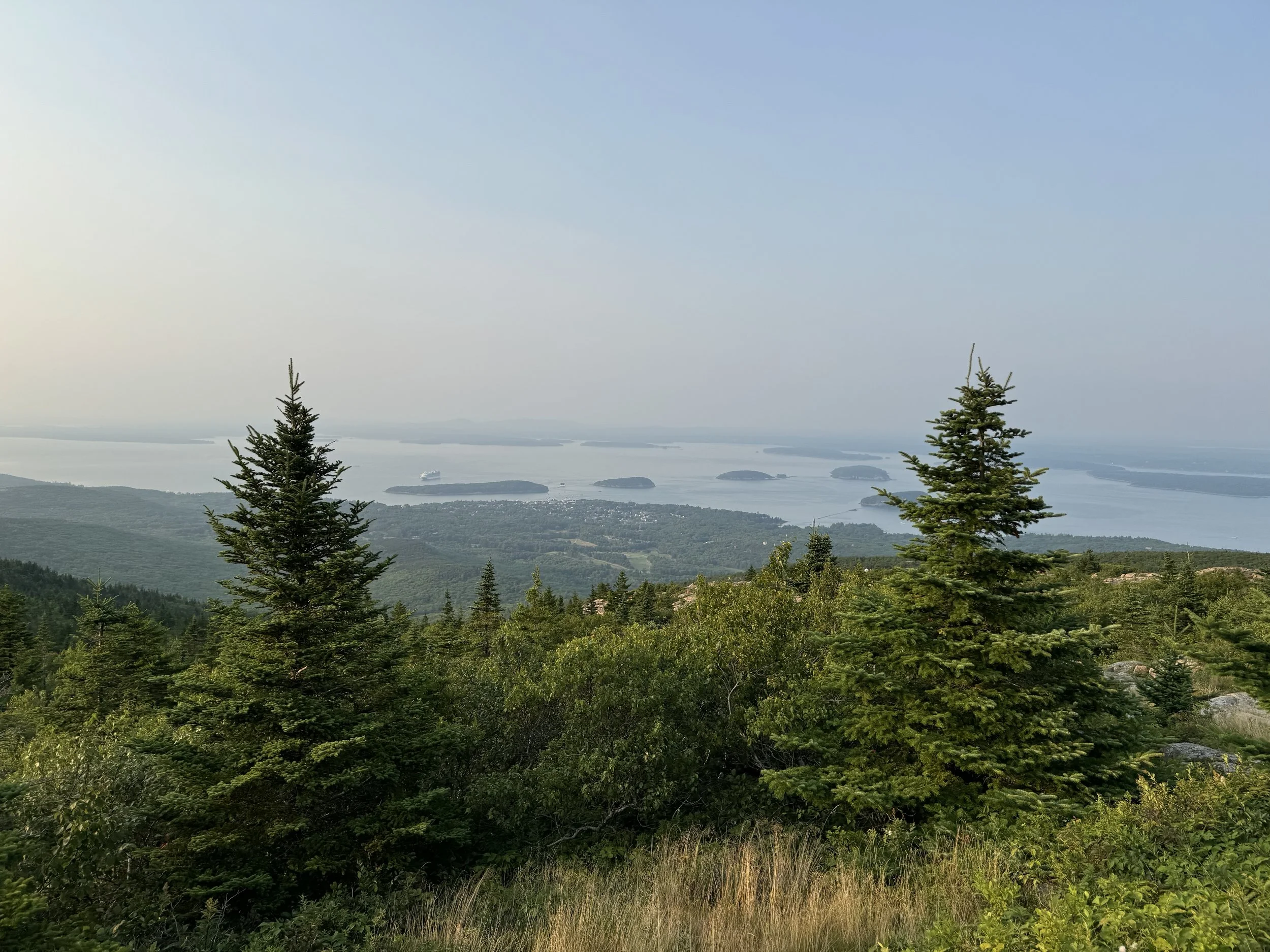 (545) NT Bidding: Responding to 1NT in Competition - Lebensohl