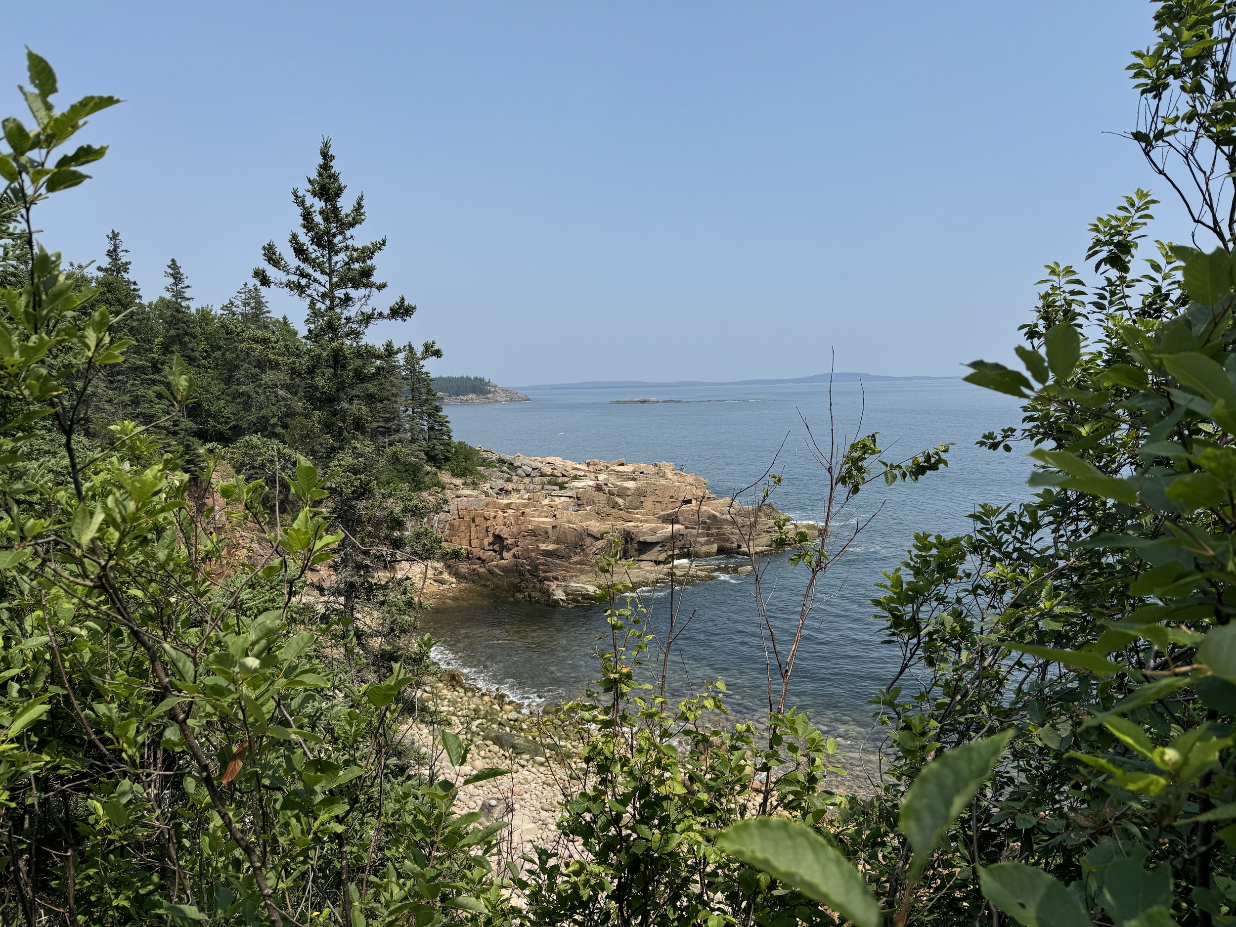 (548) NT Bidding: Modern, Transfer, and Modern Transfer Lebensohl