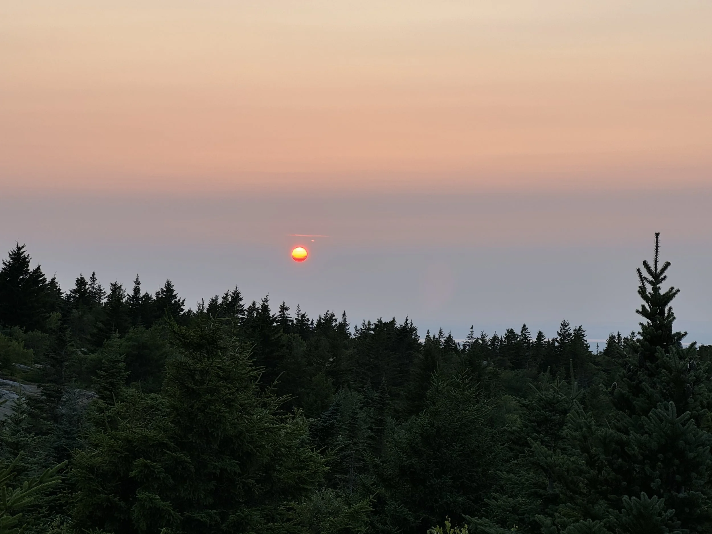 (557) Competitive Auctions: I Want to Bid Doubles