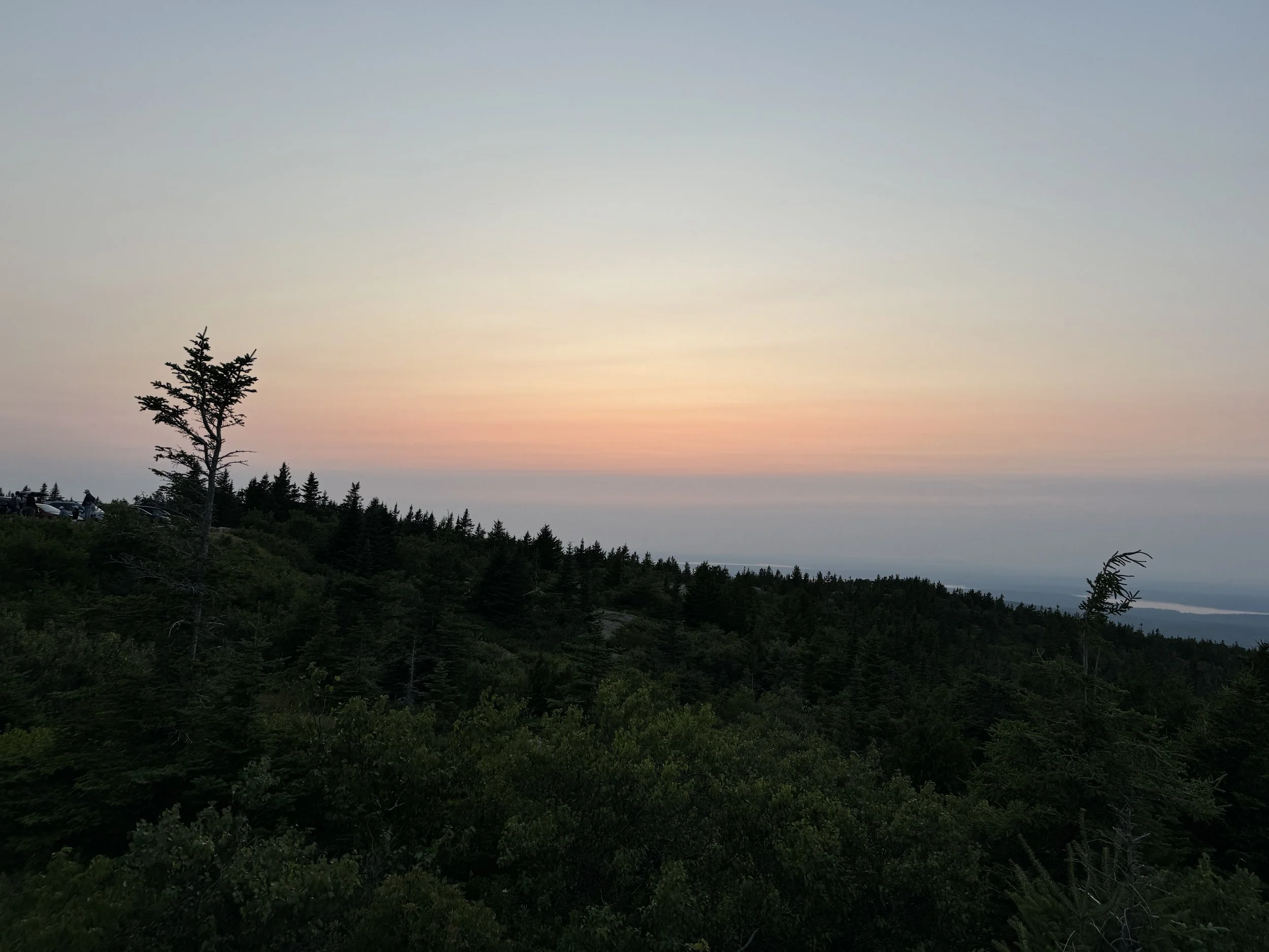 (560) NT and Balancing Auctions:  Range Stayman