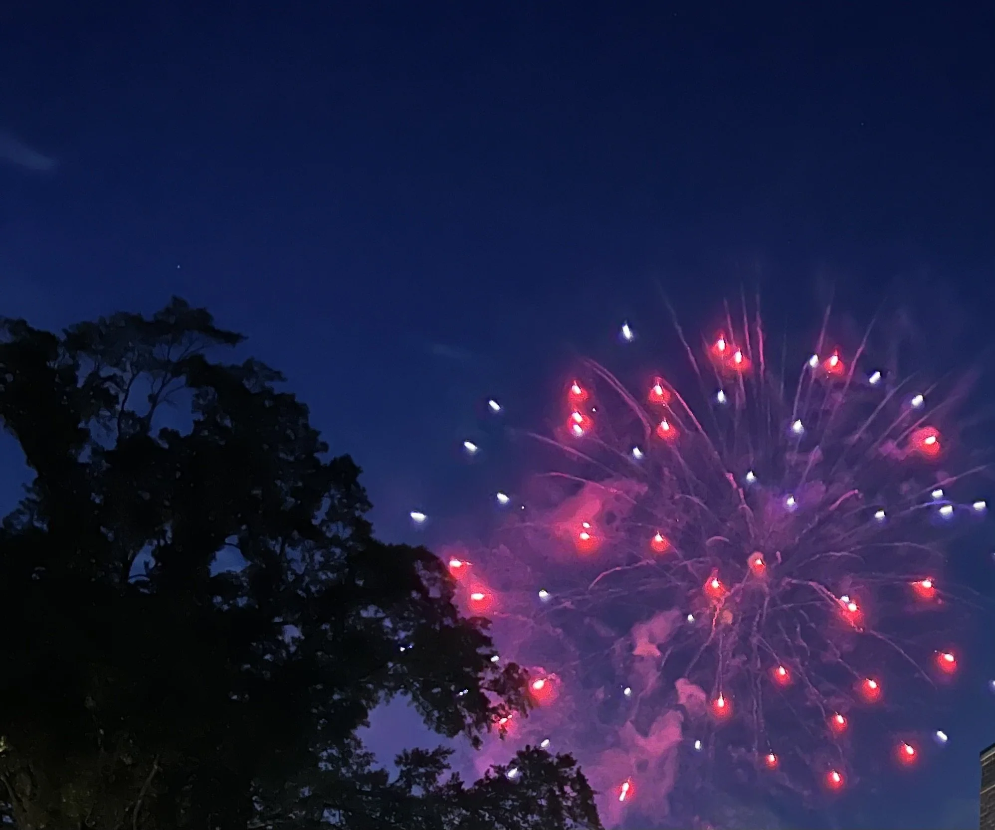 (562) NT and Balancing Auctions: Other Balancing Actions