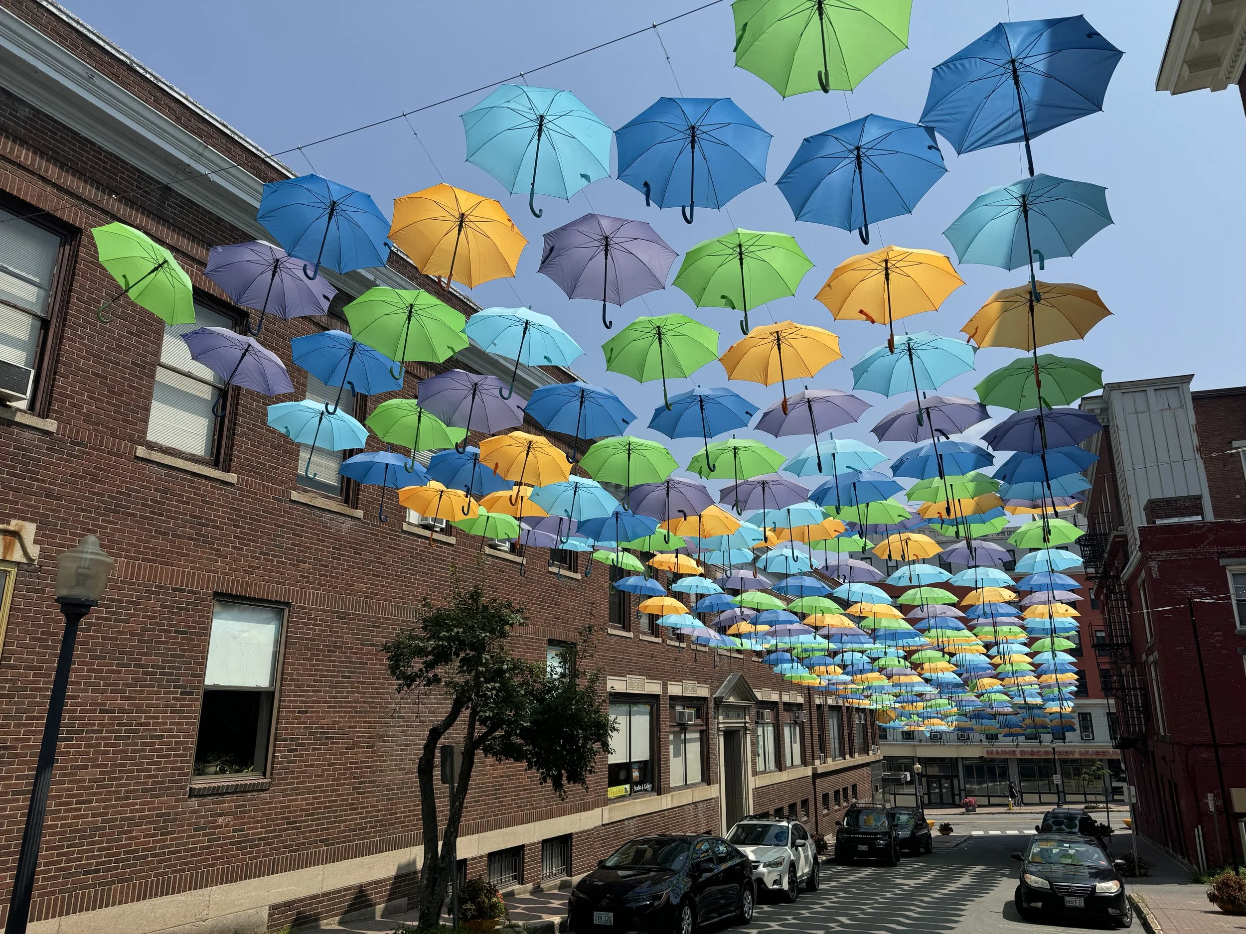 (565) Improve Your Card Play:  Guarding a Suit