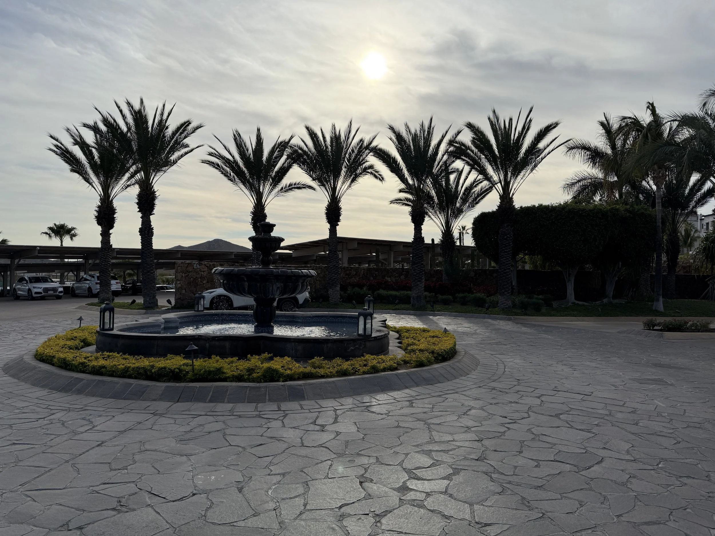 (569) Rosenkrantz Redoubles