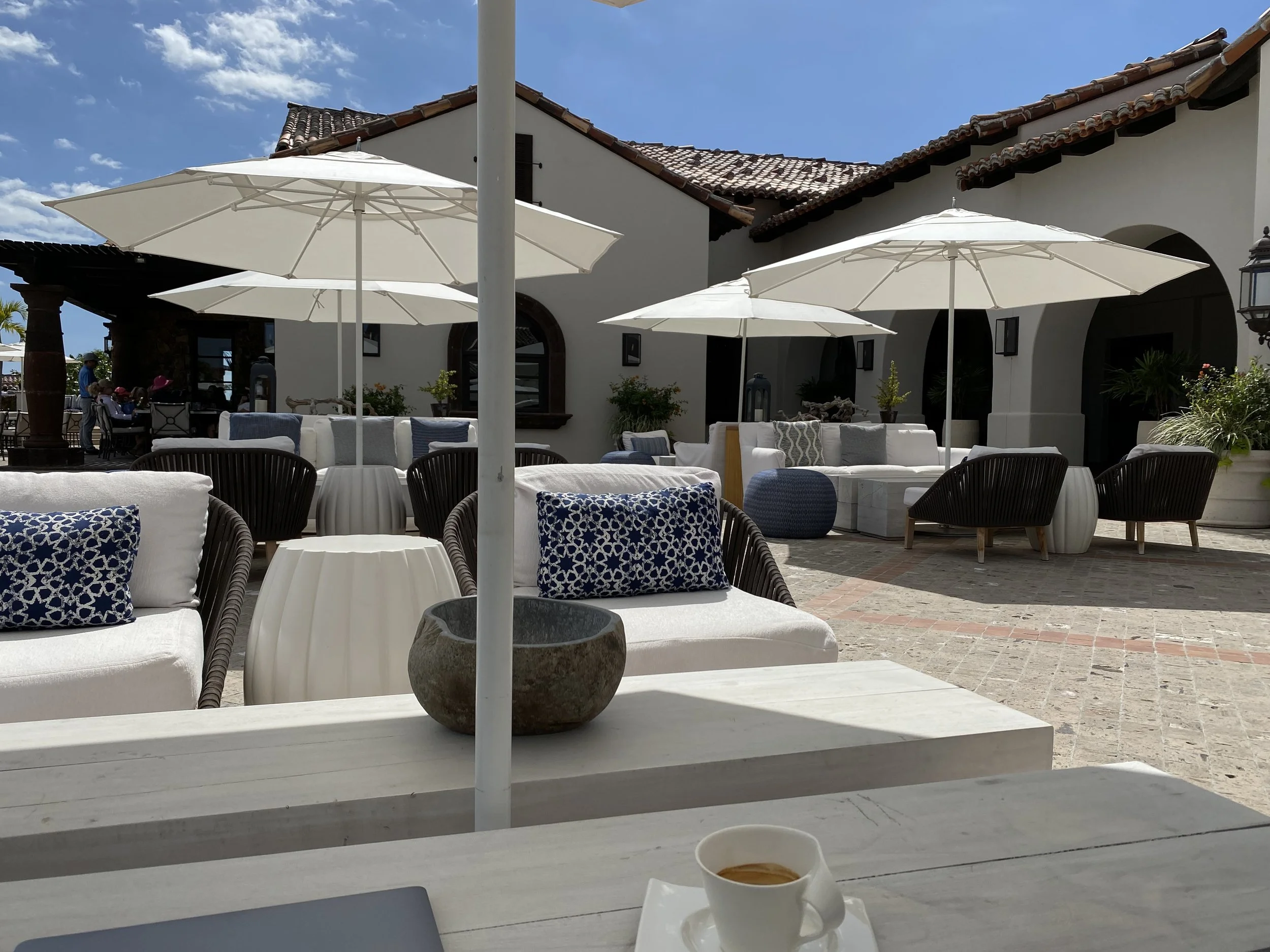 (593)  Todd Busts over 2C Opening Bids