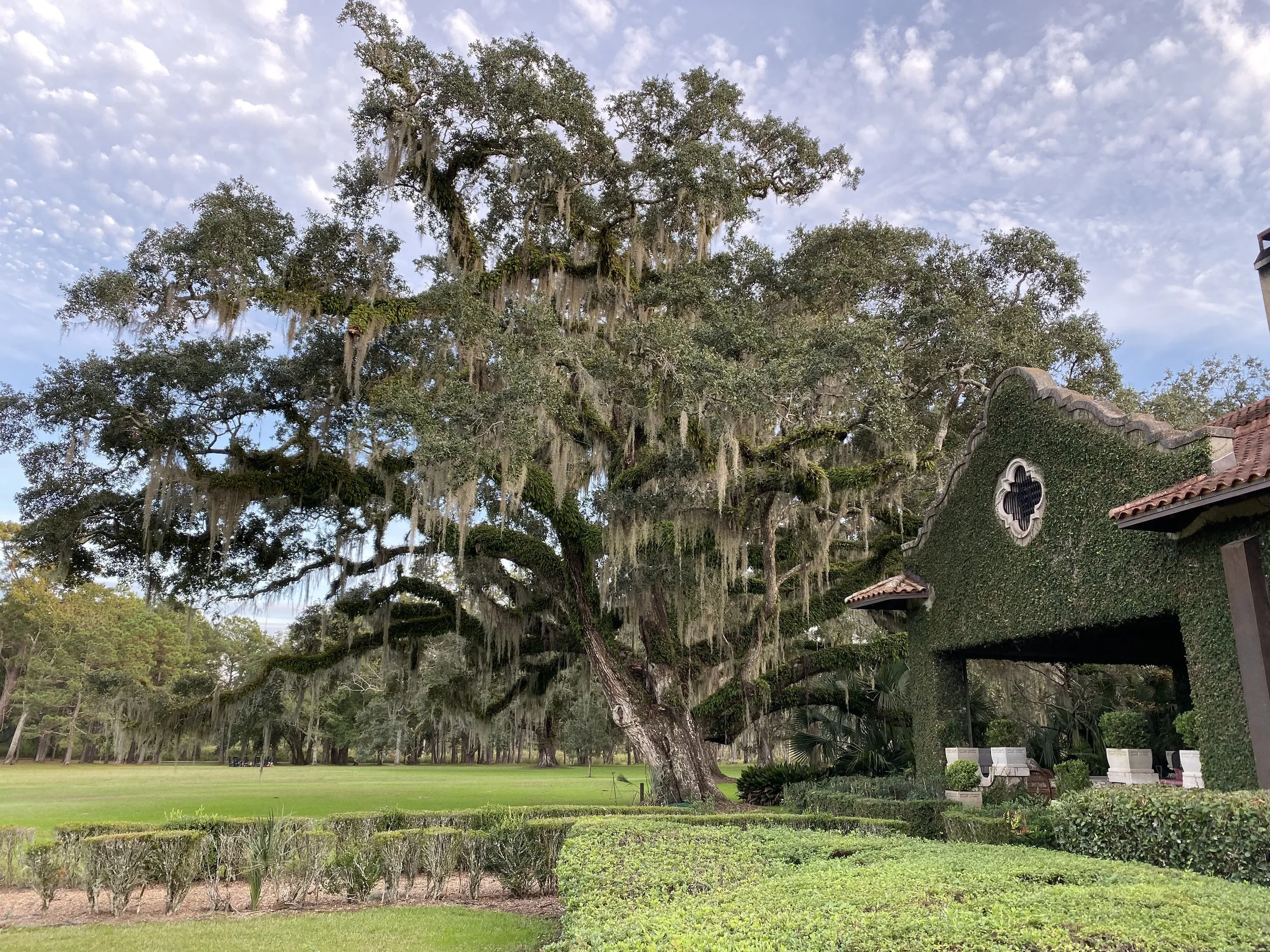 (611)  Playing to a Trick – Seat-Based Thinking as Declarer 