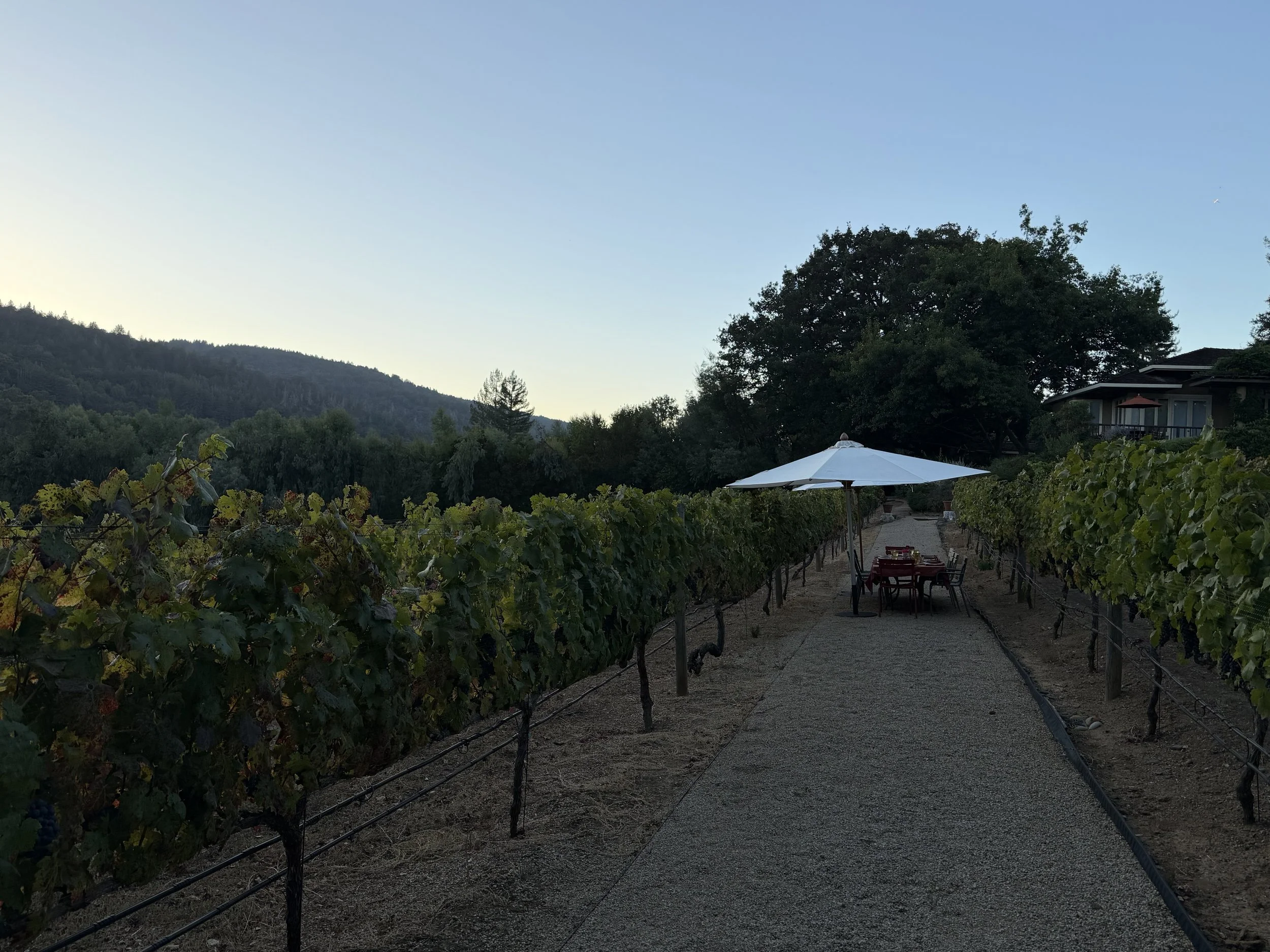 (617) Fundamentals of Trick Taking - Finesses