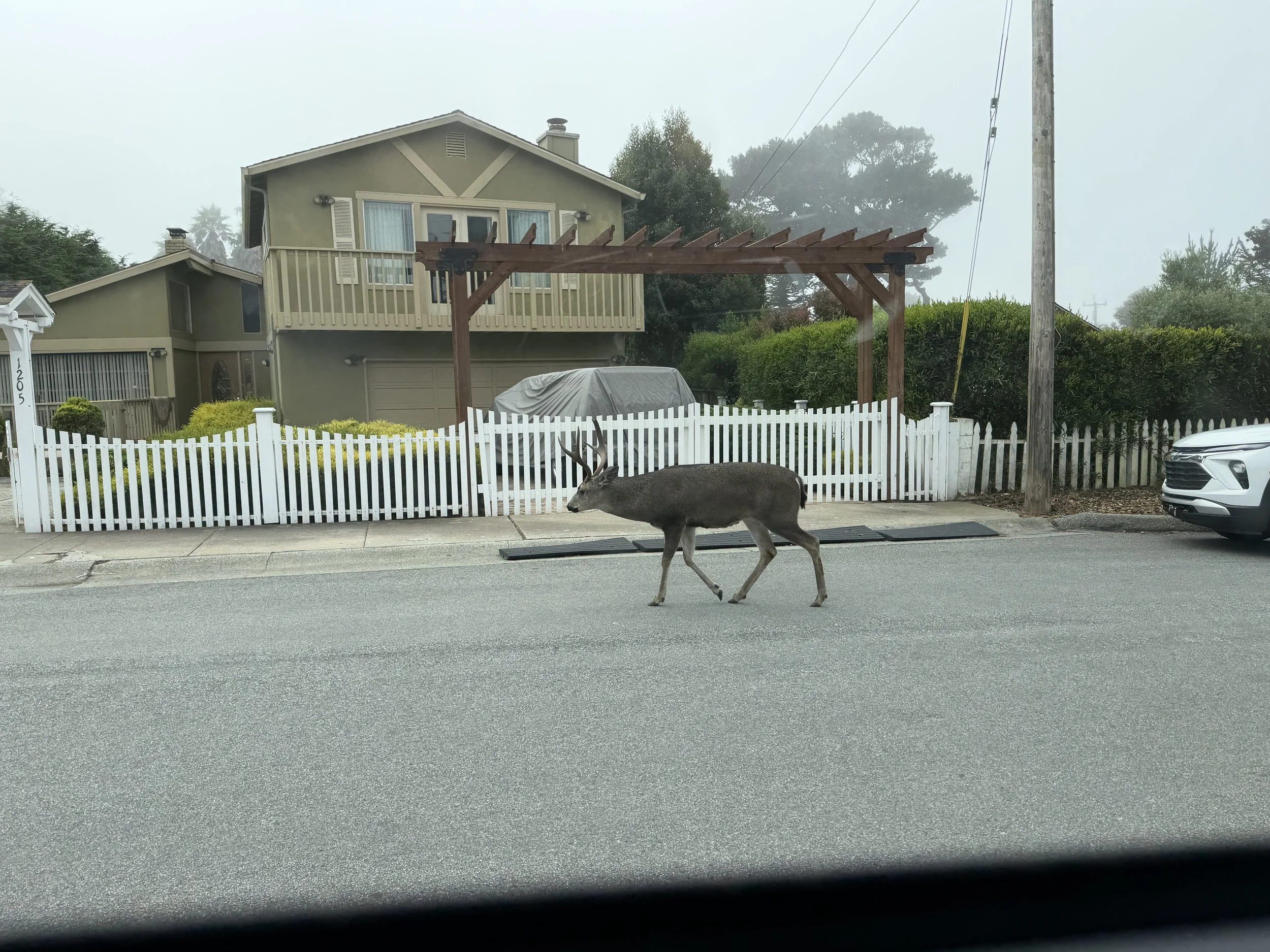 (621) Suit Play: Types of Losers