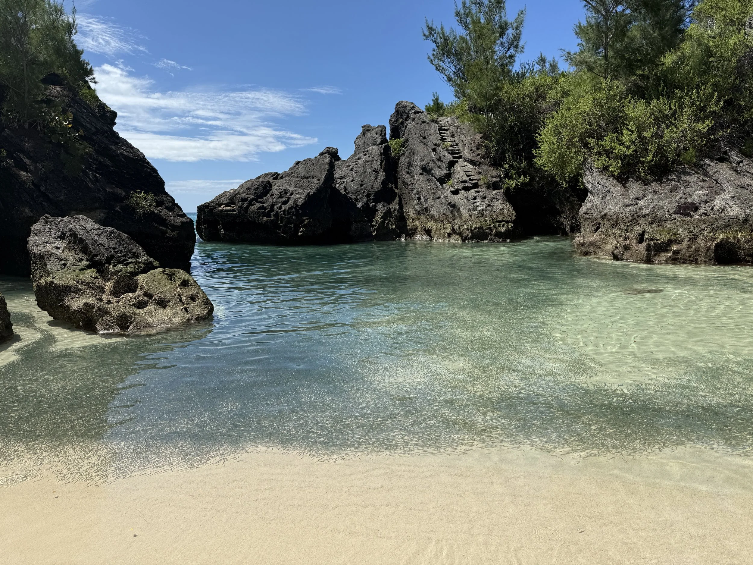 (622) Suit Play: Getting Rid of Potential Loser