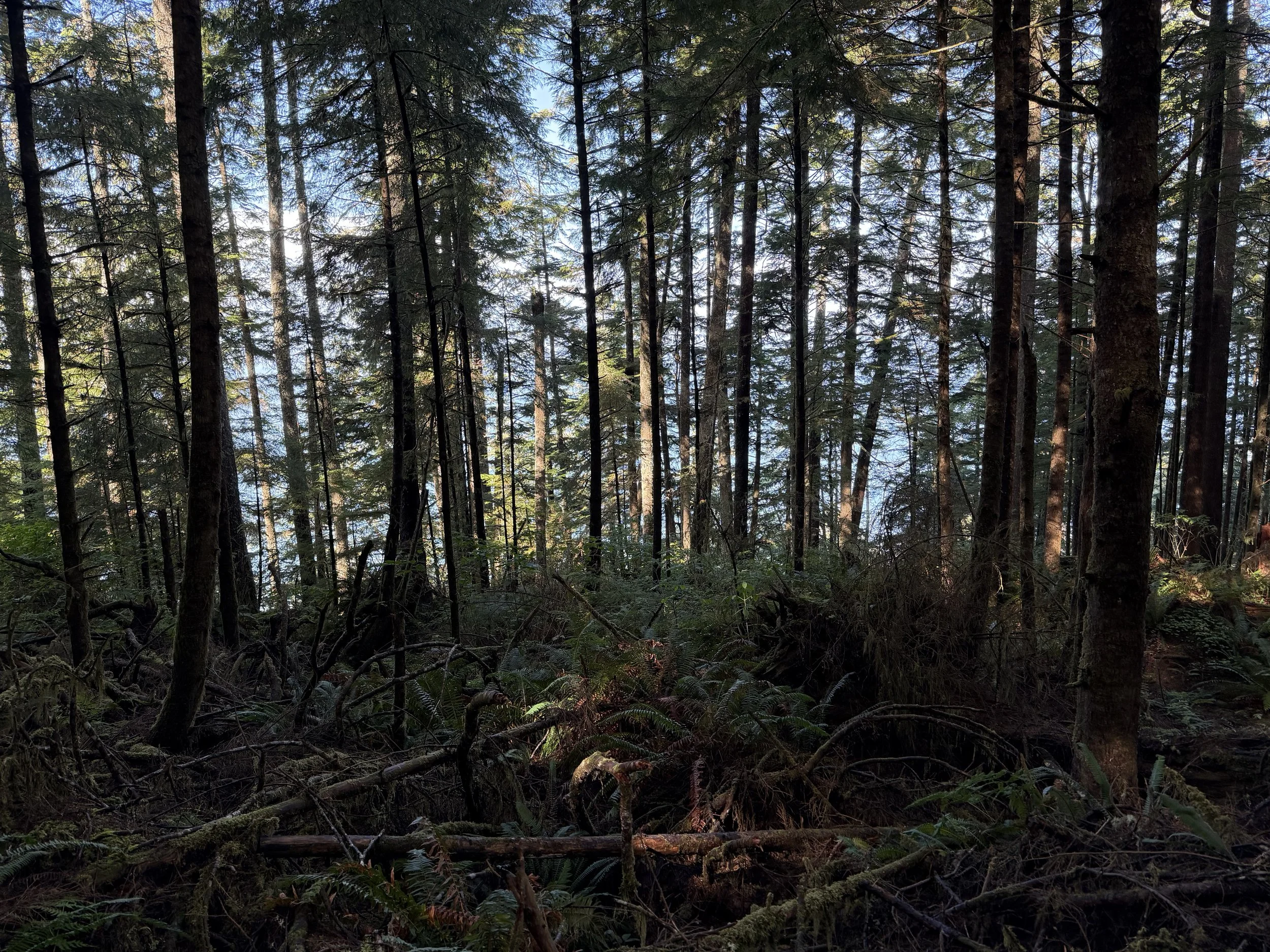 (627) Fundamentals of Trick Taking – 4th Best Leads (Attitude)