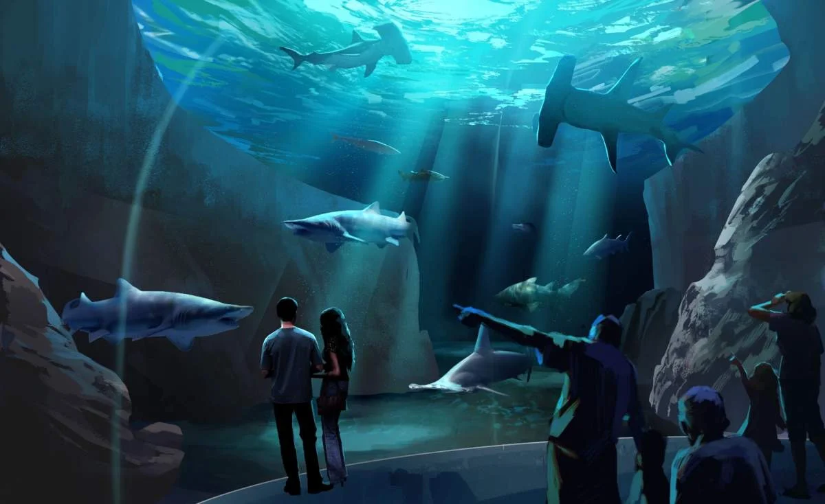 Expansion-2020-georgia-aquarium-shark-habitat.jpg