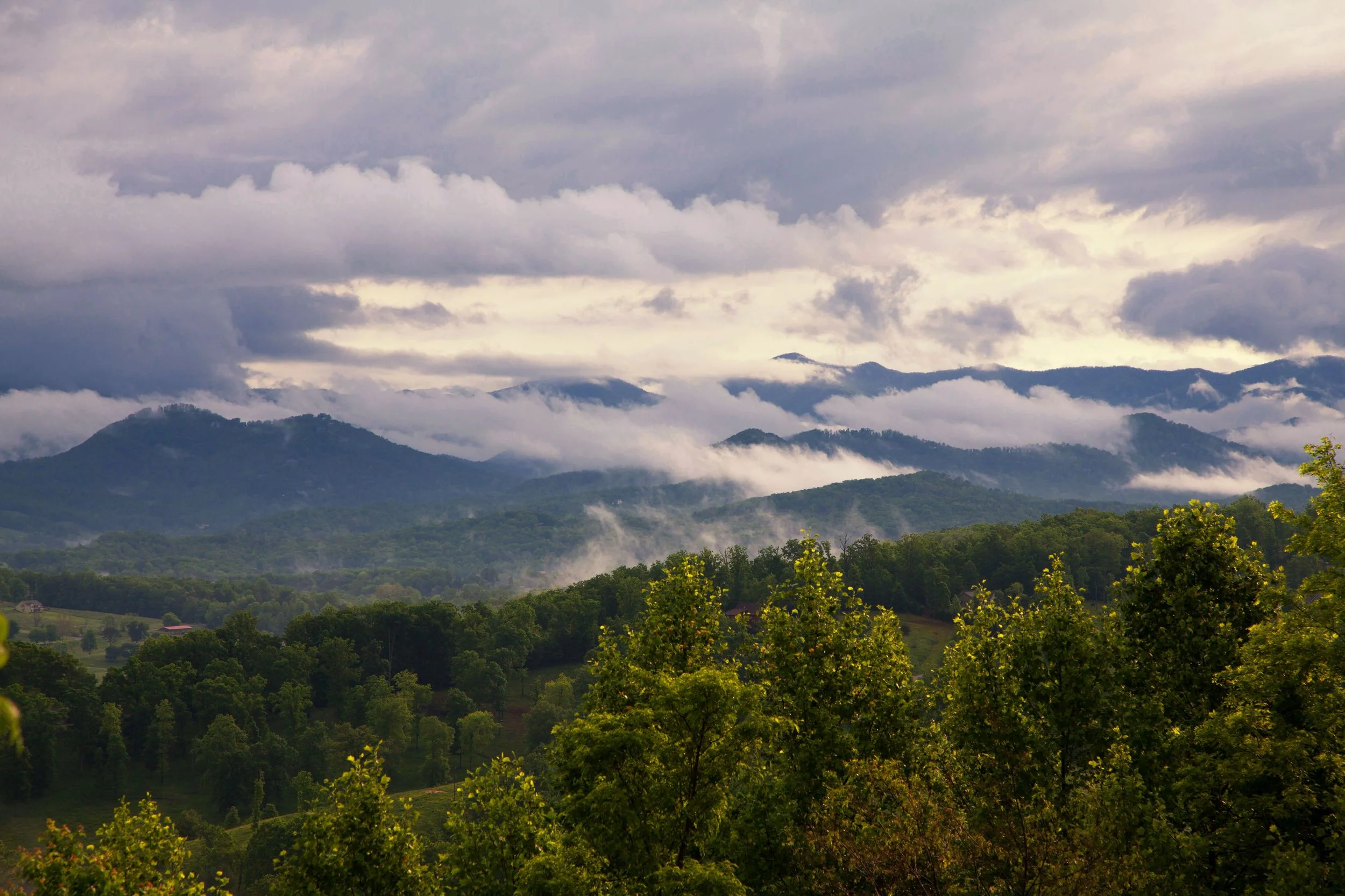 20130519HAY_Pineo-8918.jpg