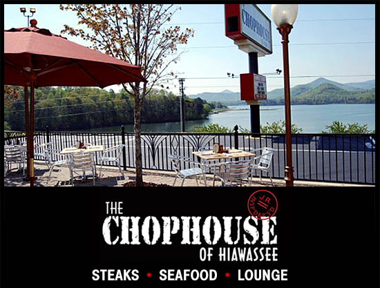 Let's Go Out for Lunch