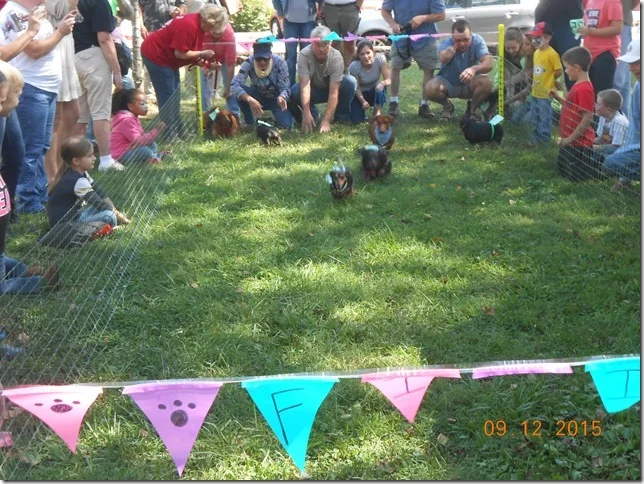 pet%20celebration%202015%20055[2].jpg