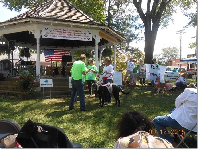 pet%20celebration%202015%20047[2].jpg
