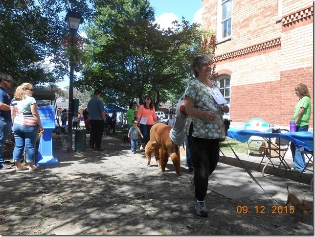 pet%20celebration%202015%20045[2].jpg