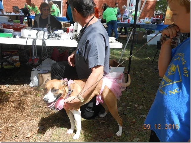 pet%20celebration%202015%20040[2].jpg