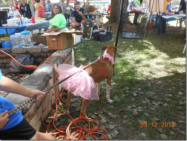 pet%20celebration%202015%20039[2].jpg