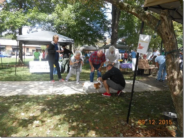 pet%20celebration%202015%20031[2].jpg