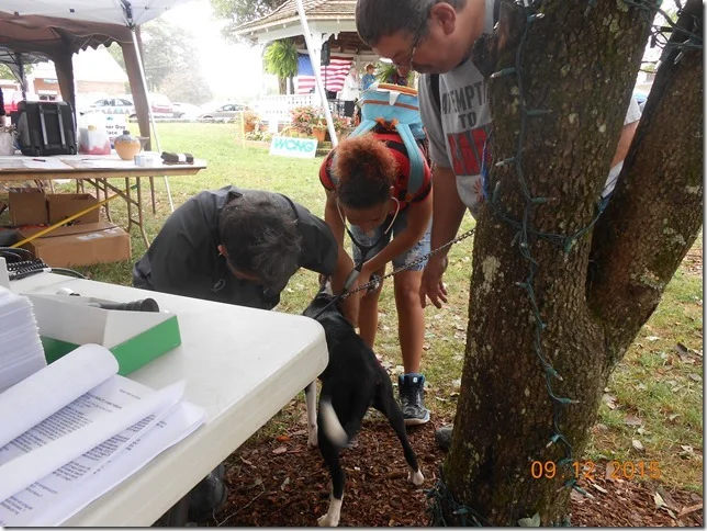 pet%20celebration%202015%20022[2].jpg