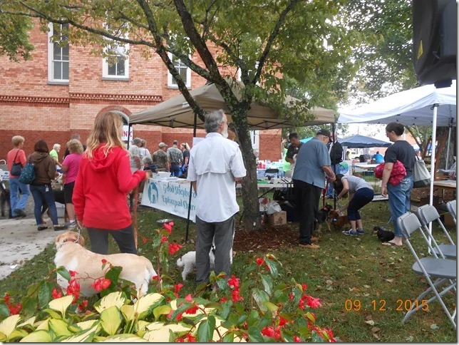 pet%20celebration%202015%20009[2].jpg
