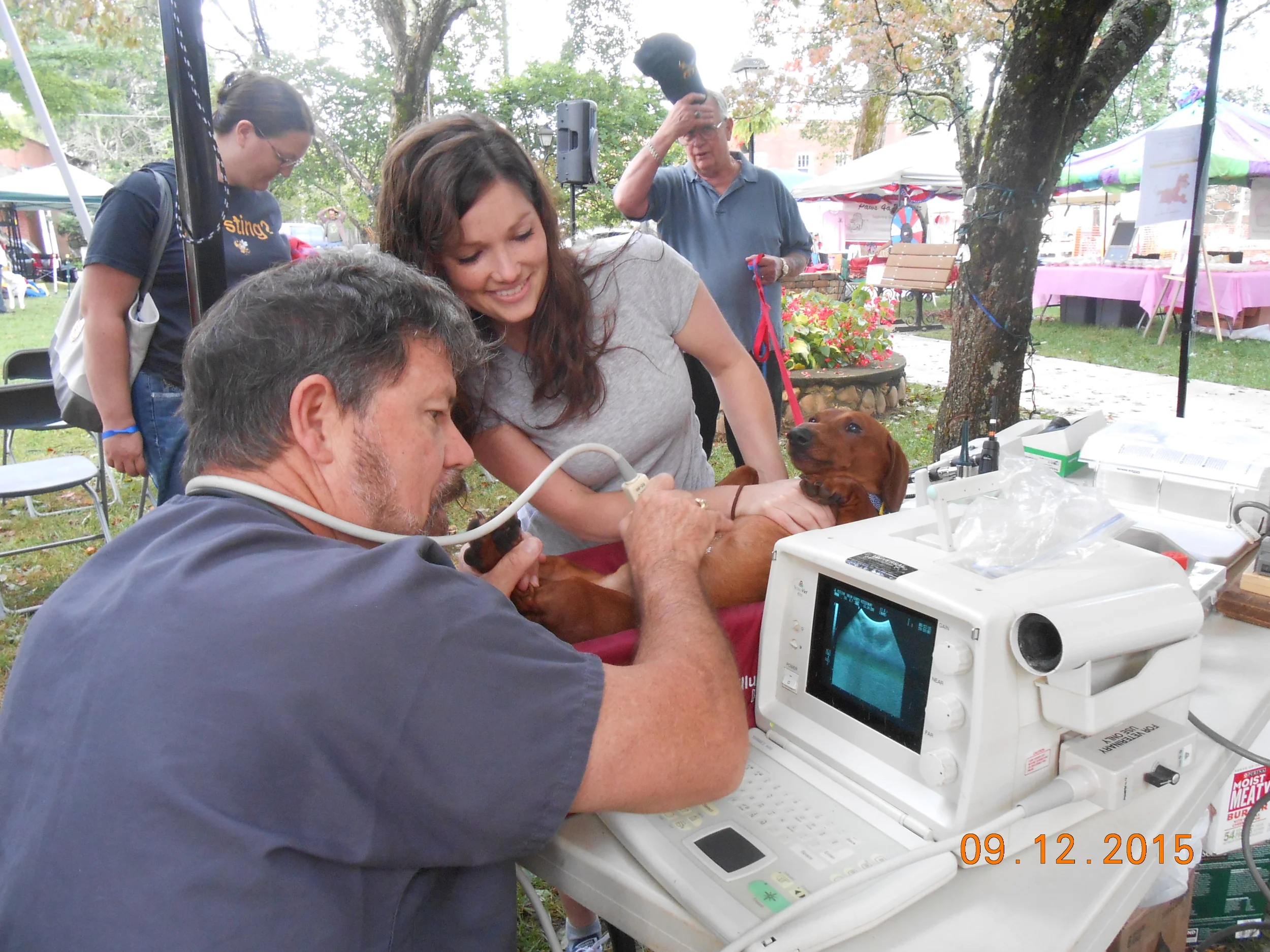 Hayesville Pet Celebration on the Square
