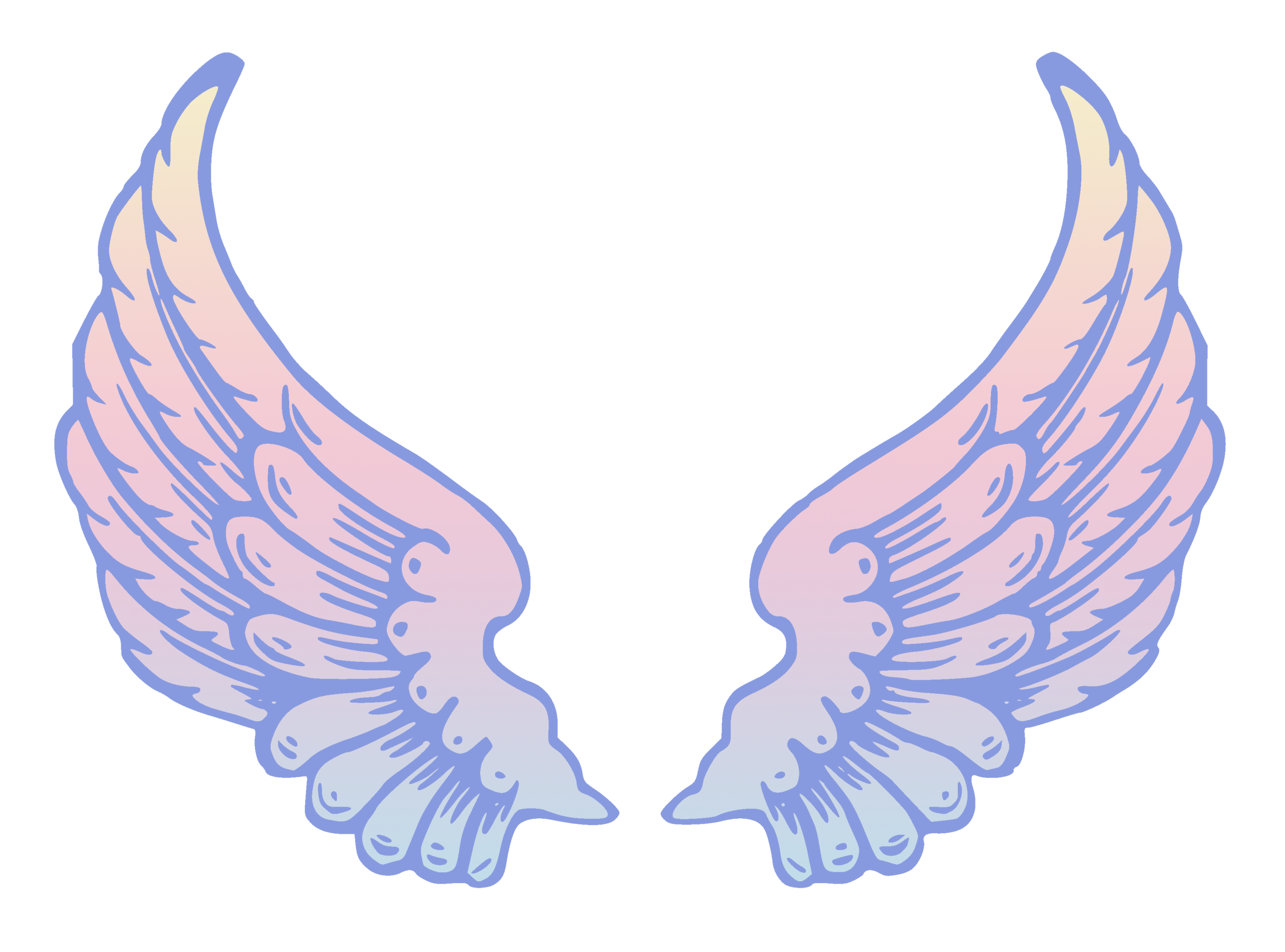Angel Wings Project Workshop