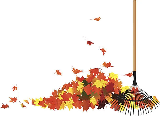 Fall Workday