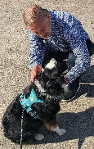 Blessing of the Animals