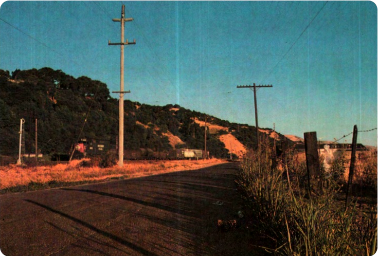 long_road.png