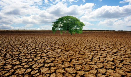Some plant trees, other sow change with their words.
