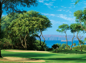 wailea_golf3.jpg