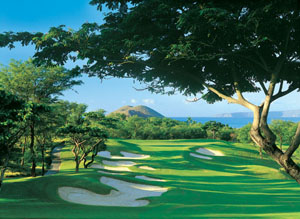 wailea_golf6.jpg