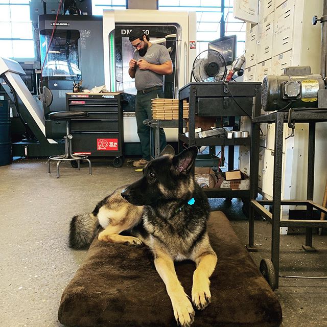 Now that&rsquo;s a shop dog @machinist_therapy_hotline #stollenmachine #instamachinist #cnc #machineshop #madeinusa #engineering #manufacturing