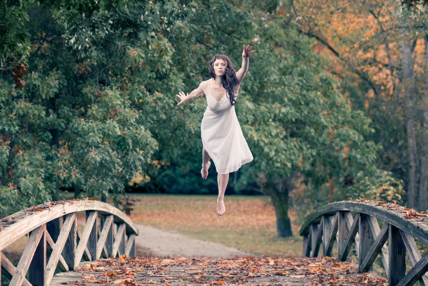 Fall with Phillip Lanyon DOP