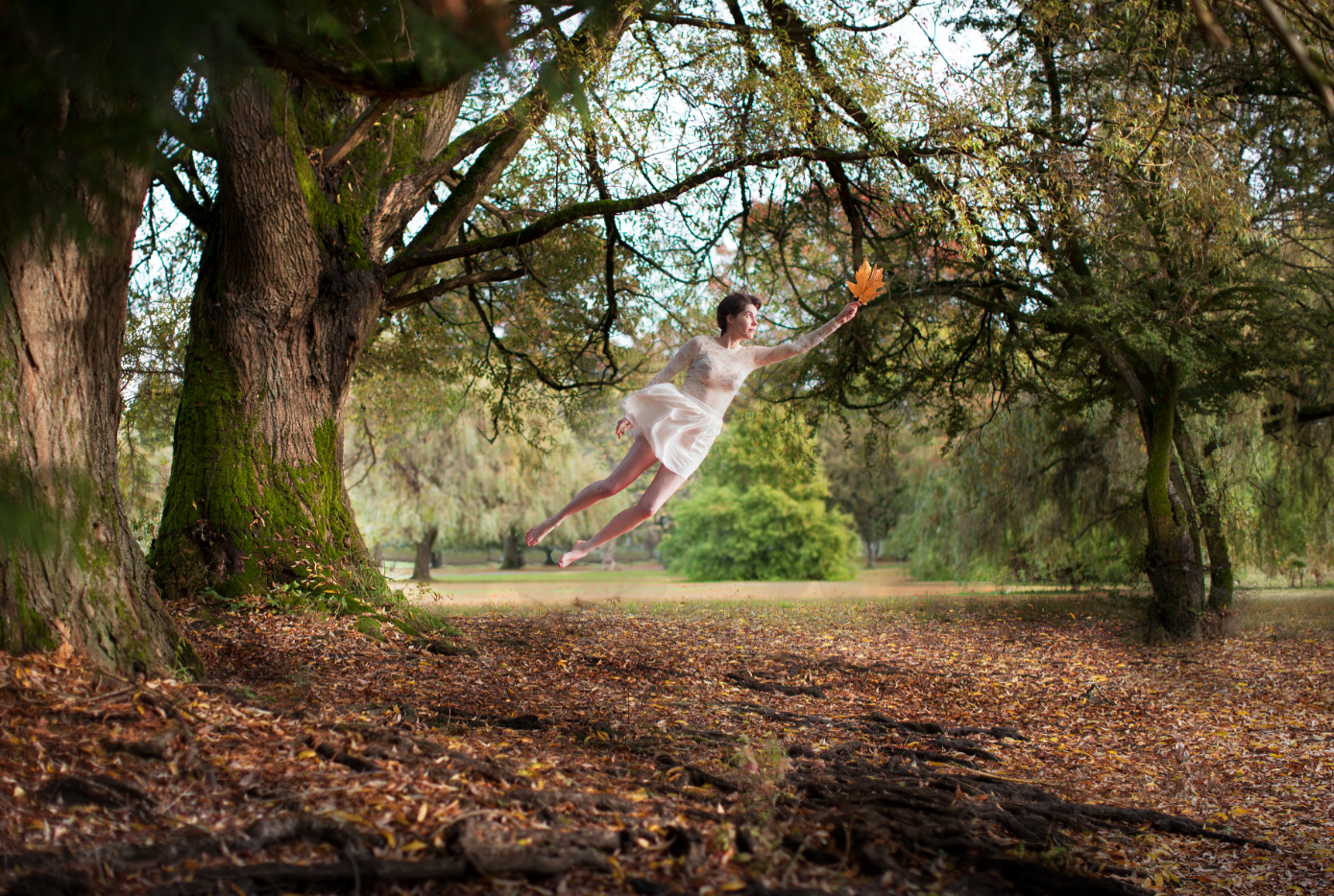 Fall with Phillip Lanyon DOP