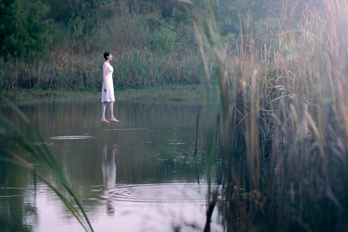 Fall with Phillip Lanyon DOP