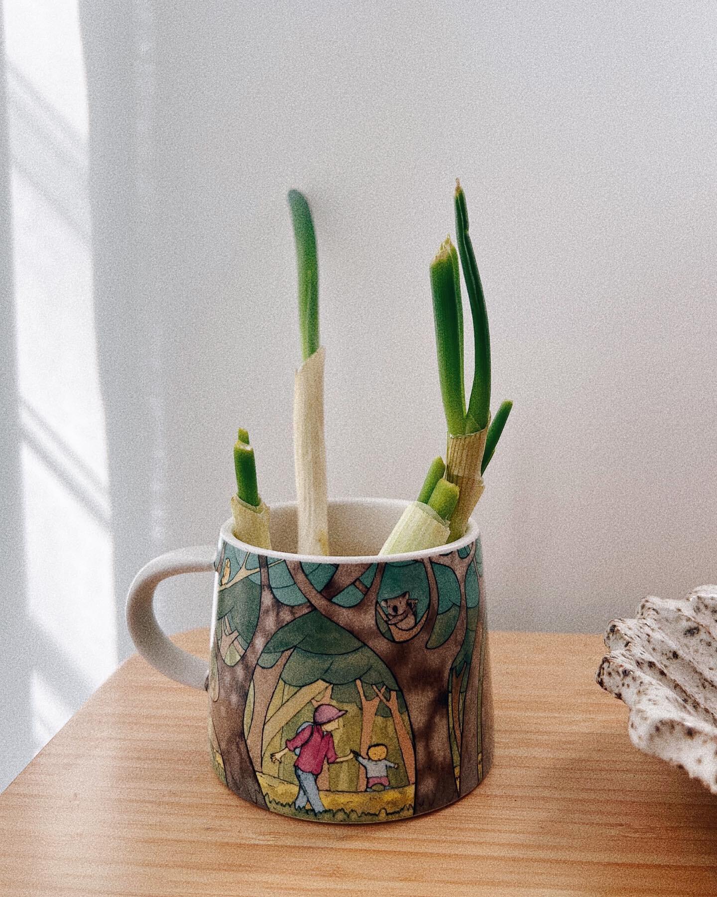 If you&rsquo;re not regrowing zombie spring onions, you&rsquo;re doing it wrong. 
〰️
Place roots in water or straight into soil and you&rsquo;ll never have to buy them again. You&rsquo;re welcome. 🌱
