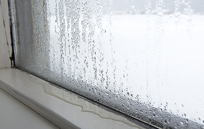 Dangers-of-a-Whole-House-Humidifier-web.jpg