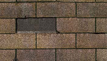 shingle-01-d8b159661e6c1dad8eac1d0f5d20c6b74fd70f90bc134761a4fb1a06fe2b2c2b.jpg