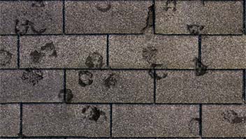 shingle-03-586de77359ca1f6e2d189de86e38339e3e98d825727cdfd98ad2a368f412b121.jpg