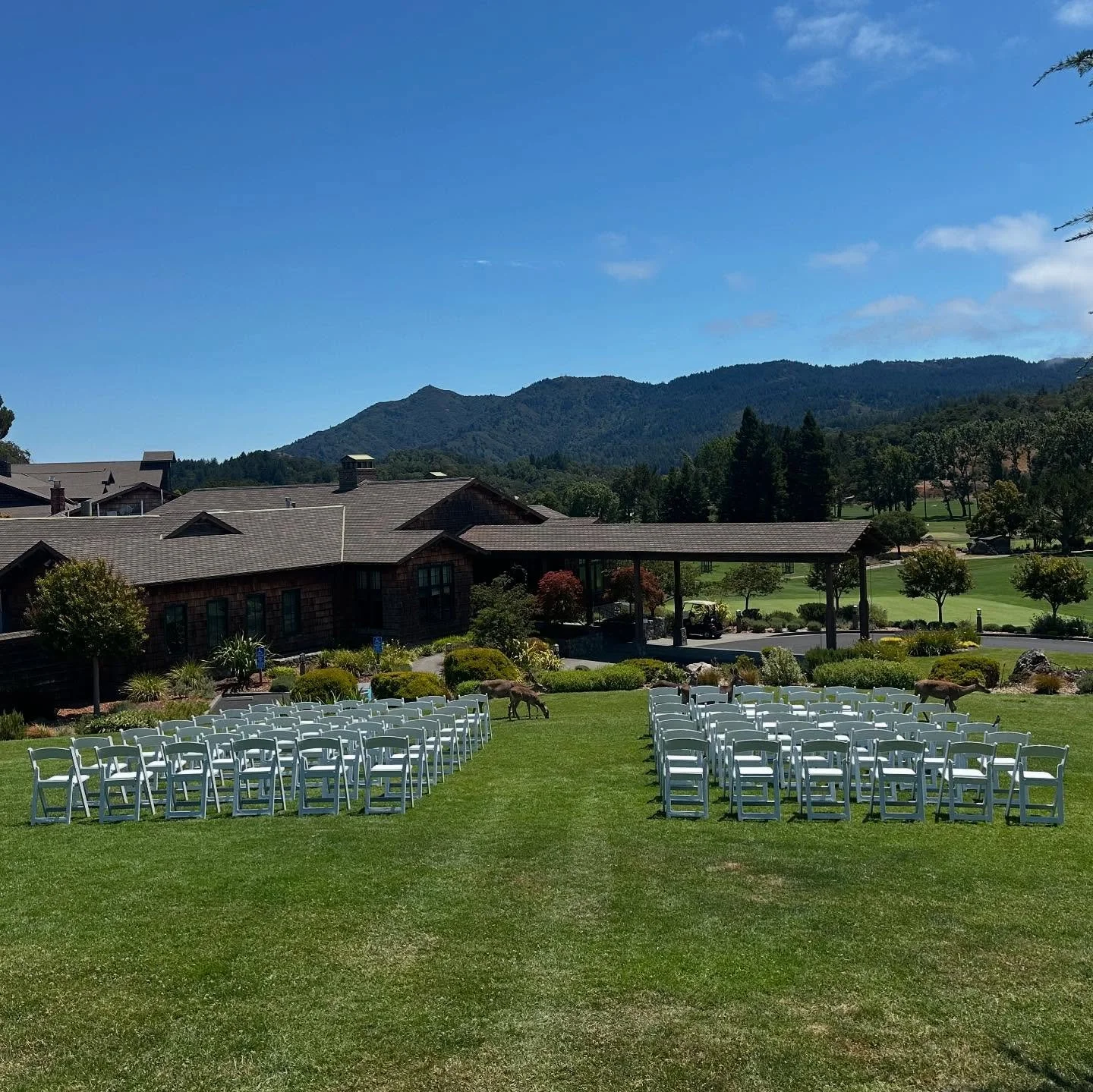 Congrats S&amp;F!!! Thanks for making me a part of your big day. 

And thanks @danielnealphotography for capturing the magic so well. 

Zoom in on the first photo to see nature&rsquo;s beauty in action, prior to the ceremony starting.