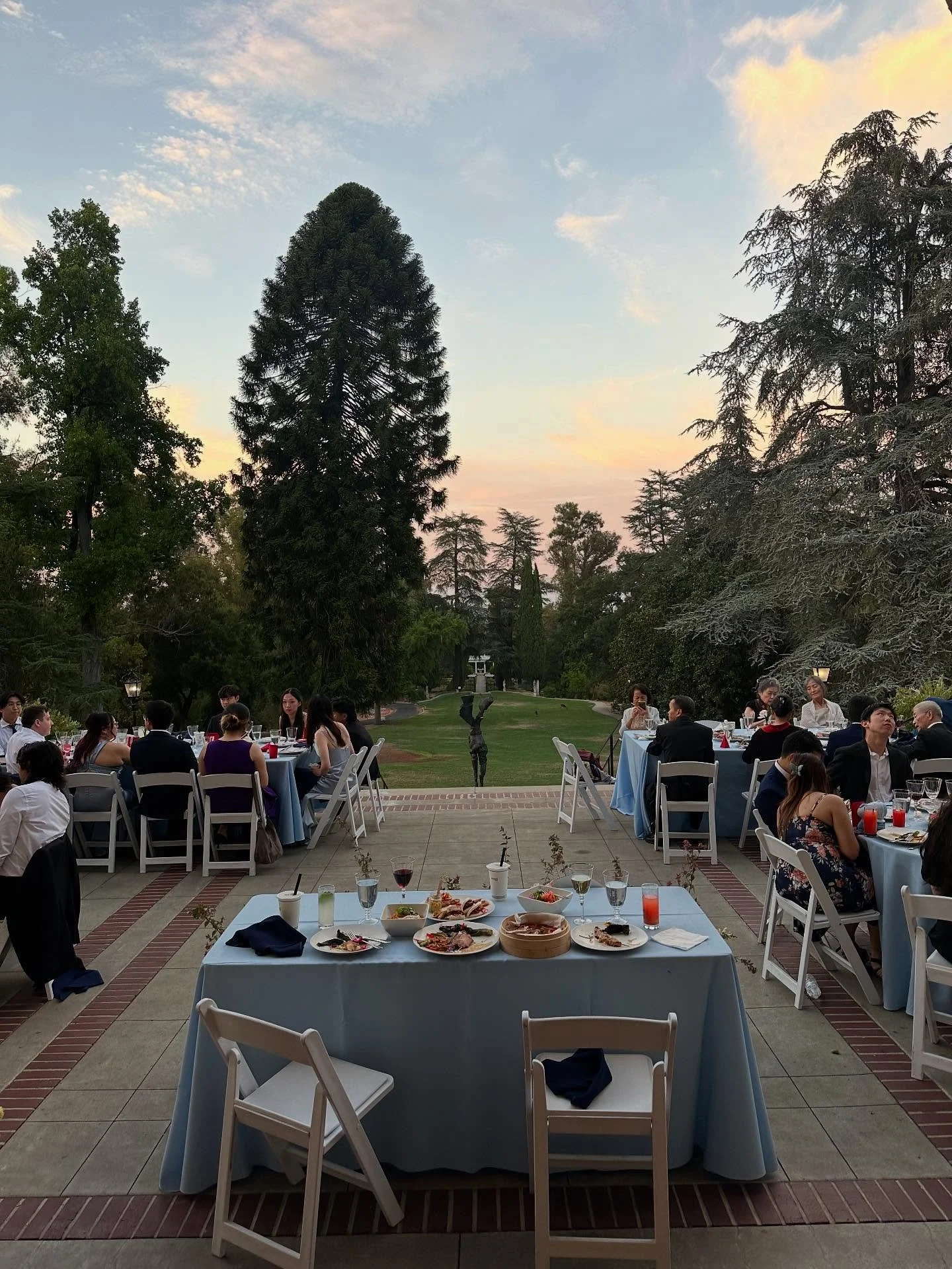Congrats C&amp;D!  Thanks for bringing the energy! 

And thanks to @bellarosastringquartet for having me. It&rsquo;s always a pleasure working with you. 

If you zoom in on the photo of the sweetheart table, you can see a family of deer in the grass,