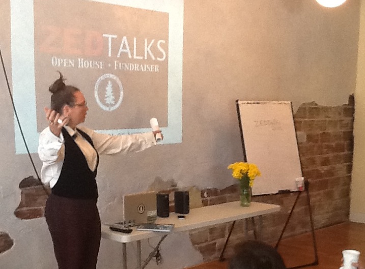 ZEDTalks 2014