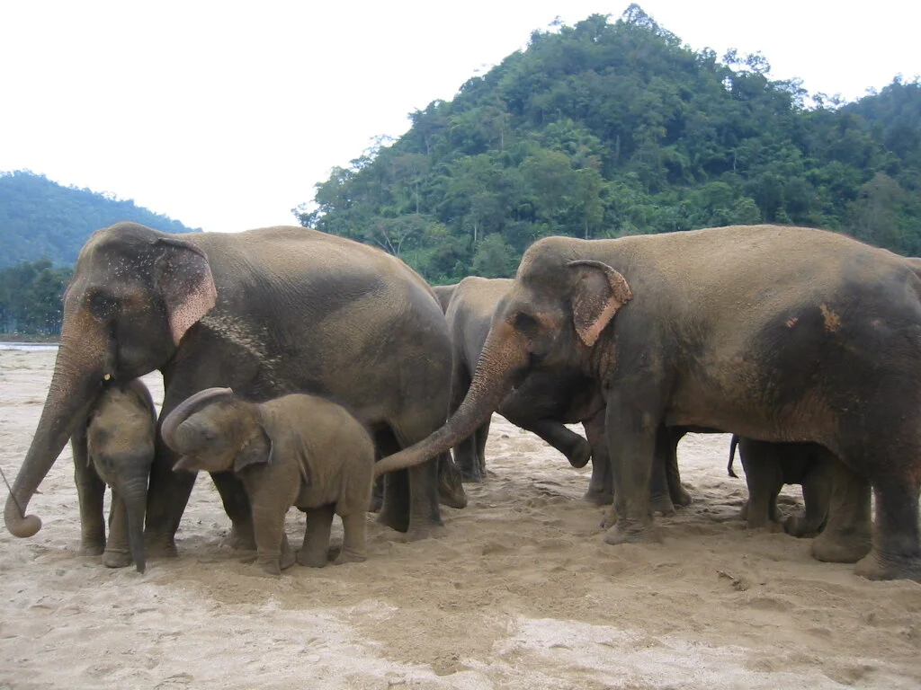 sanding each other.JPG