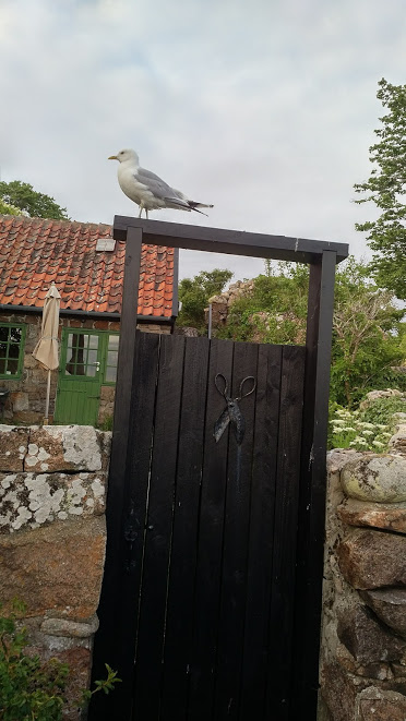 a paradise for the birds.